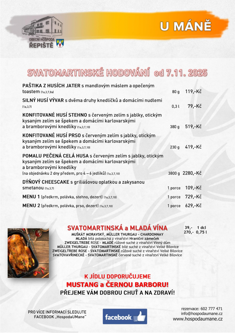 Svatomartinské husí hody 2025